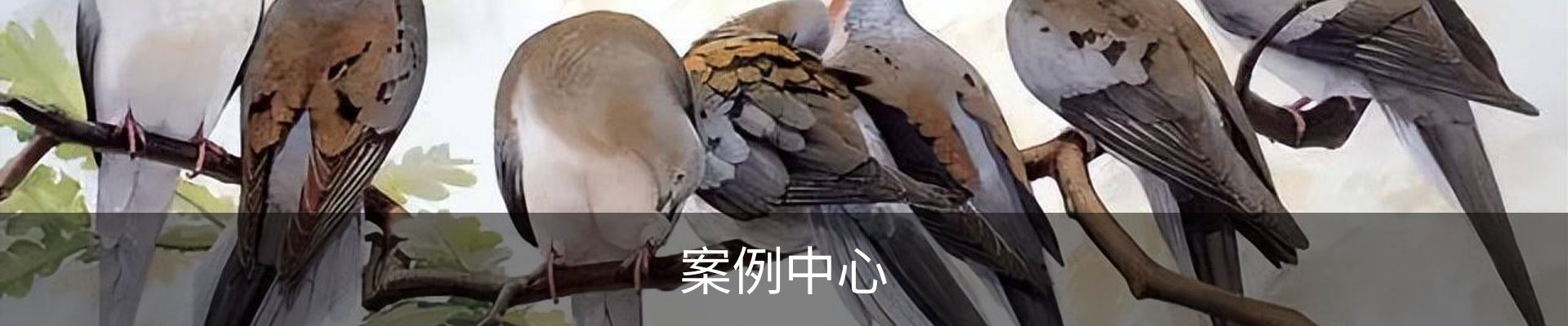 案例中心